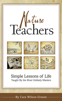 Nature Teachers: Simple Lessons of Life Taught the Most Unlikely Masters