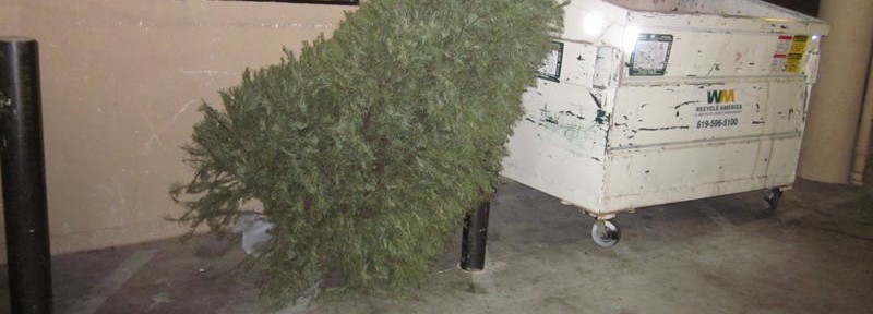 Christmas Tree and Dumpster